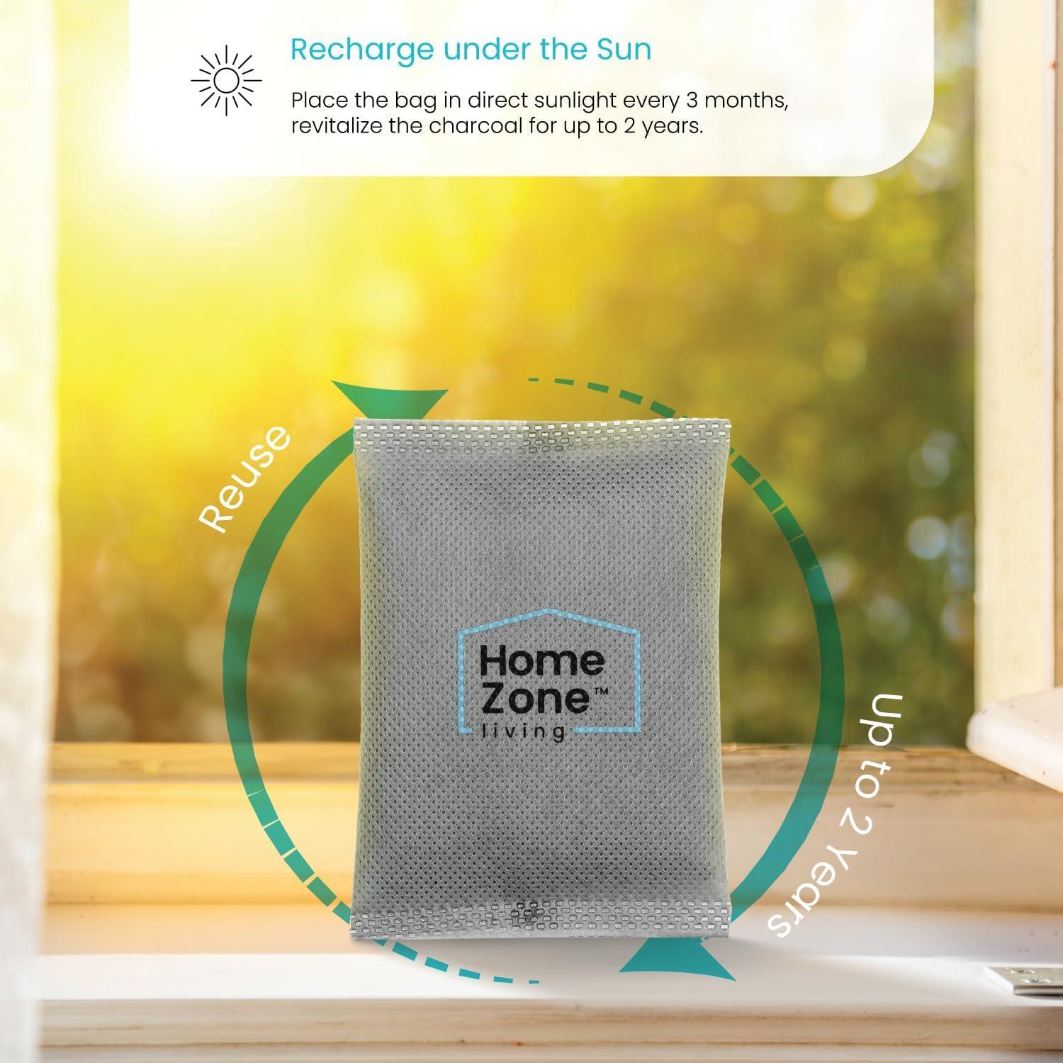 CleanAura Deodorizing Filter Kit
