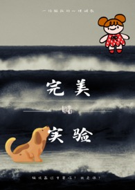 完美实验法小说